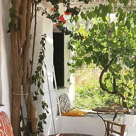Andromeda Sifnos Hotel Exámbela