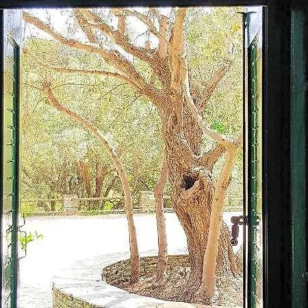Andromeda Sifnos