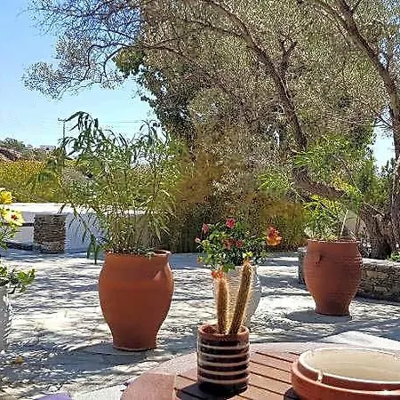 فندق Andromeda Sifnos 4*