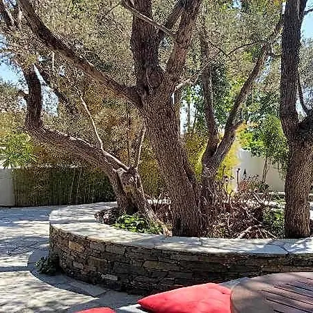 Andromeda Sifnos فندق Exámbela