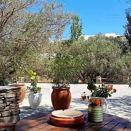 Andromeda Sifnos فندق Exámbela