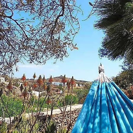 Andromeda Sifnos 4* Exámbela